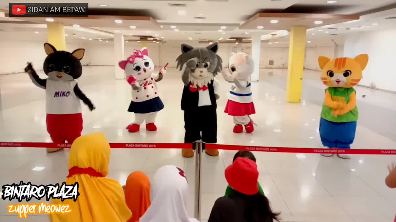 performance from clown cat