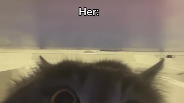 Me kicking my cat out from the room at 2 A.M