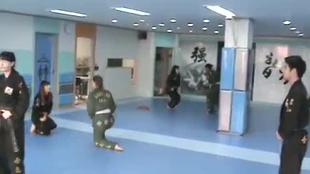 Hapkido