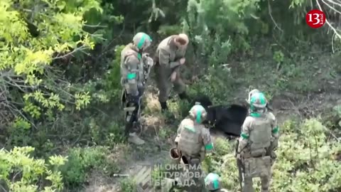 Moment of surrender of Russians hiding in forest - Ukrainian fighters capture Russians in Bakhmut