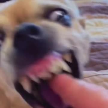 The WiFi at the hospital is pretty fast. 😹 Don’t ask me how I know that.