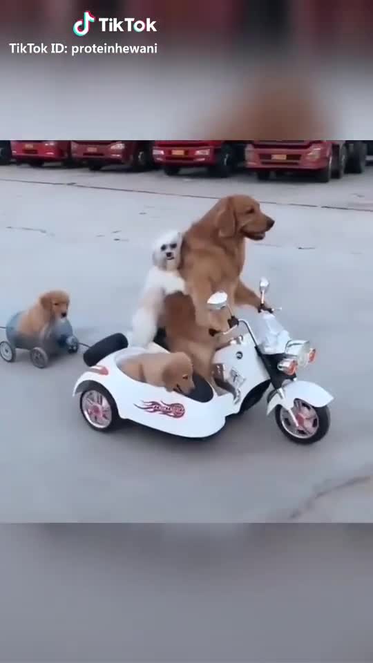 Rider's on the storm - 2