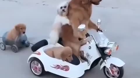 Rider's on the storm - 2