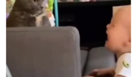 Cat vs kid