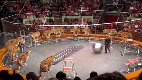 RUSSIAN CIRCUS