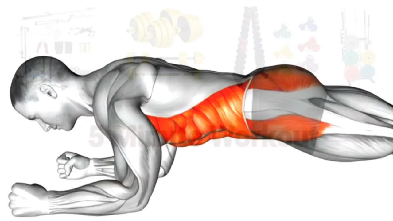 Fitness training video