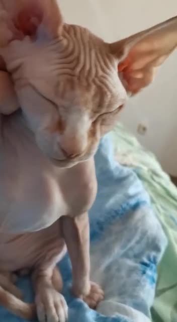 Bliss of self-isolation