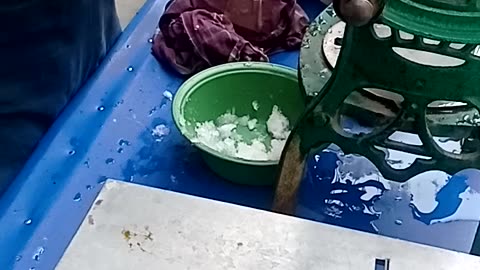 Colorful Freeze Icecream