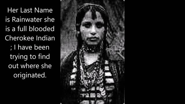 The Origins of the Cherokee Indian