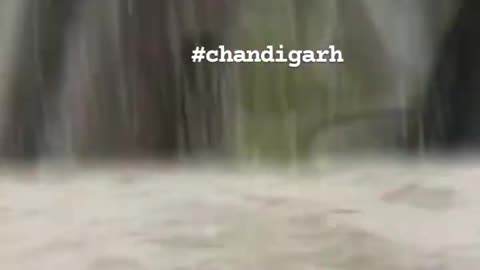 Weather Chandigarh India