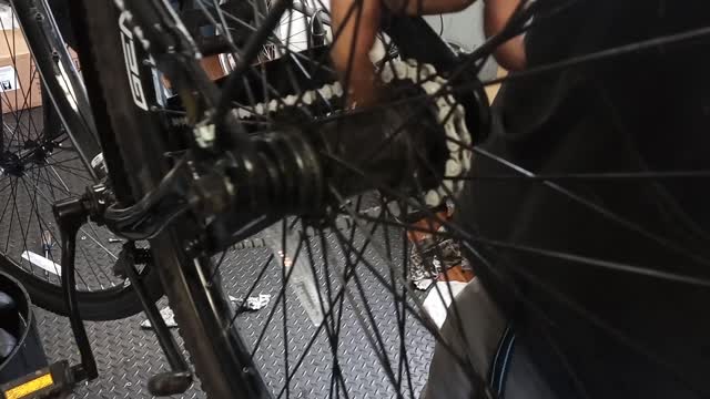 Bizarre hub fail on Genesis Bike