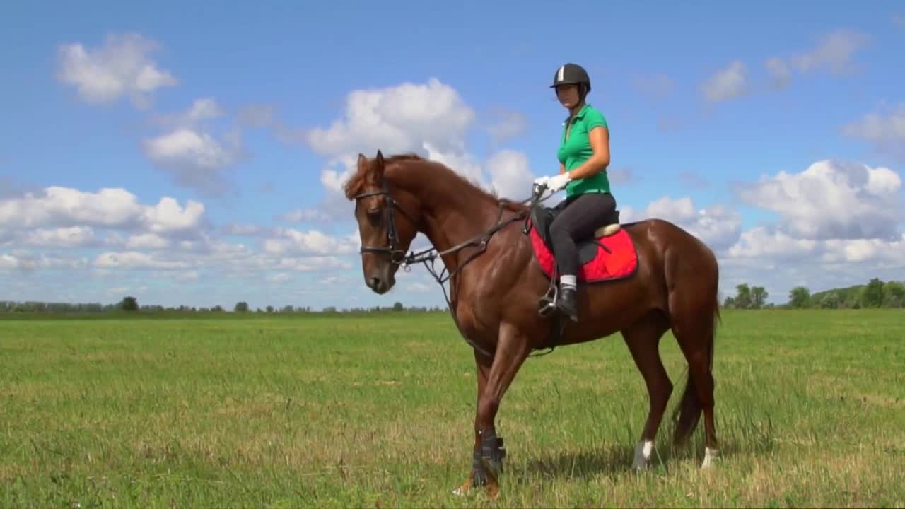 Woman ride horse hoof beats and play with rider