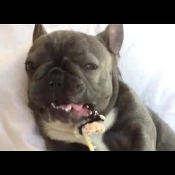 Eat well, put the rest first