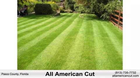 All American Cut Lawn Services New Port Richey FL