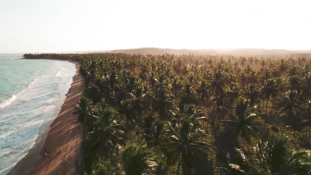 Sky sea forest, beautiful scenery, beautiful world!