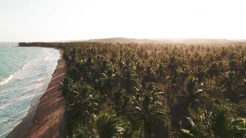 Sky sea forest, beautiful scenery, beautiful world!