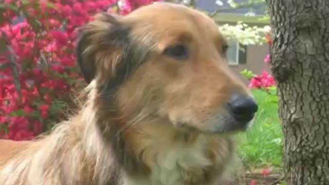 In Memory of Charles