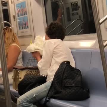 Woman kisses white bird on train