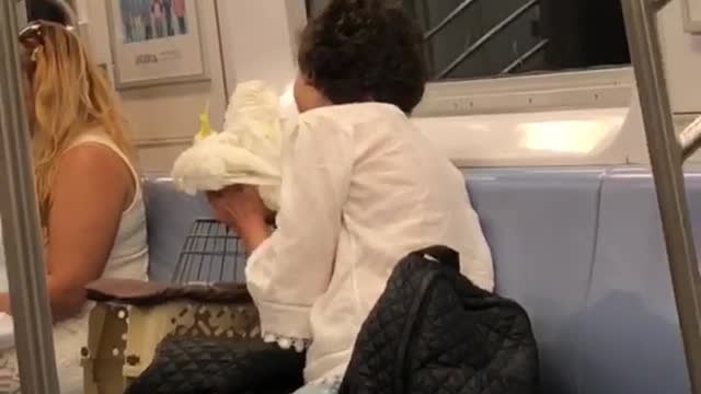 Woman kisses white bird on train