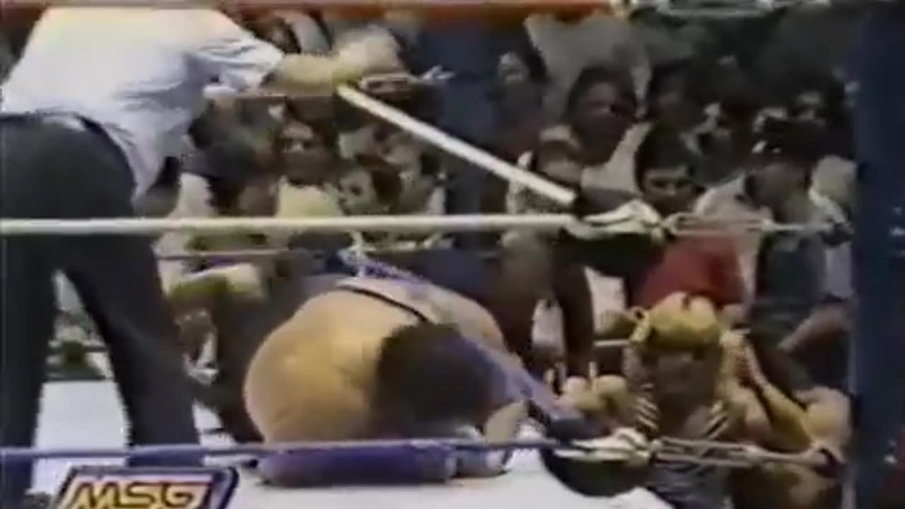 WWF 7 25 1988 POWERS OF PAIN MSG DEBUT