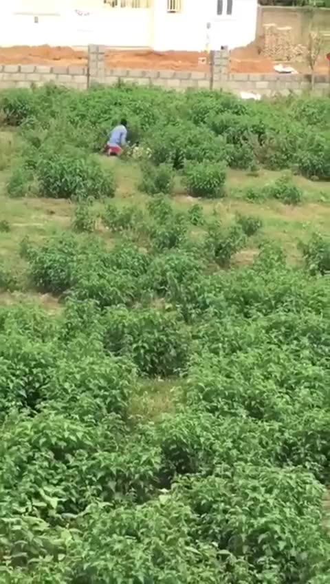 Why Women doesn't have a reason to be afraid of Migrants!