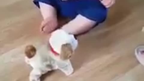 Baby laughing with dog toy