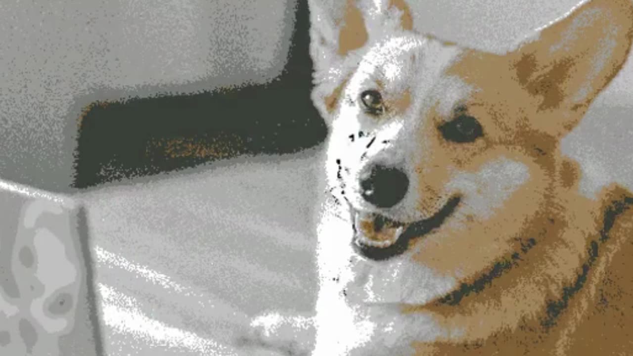 Expressive Dog Sketching Capturing Emotion in Canine Art