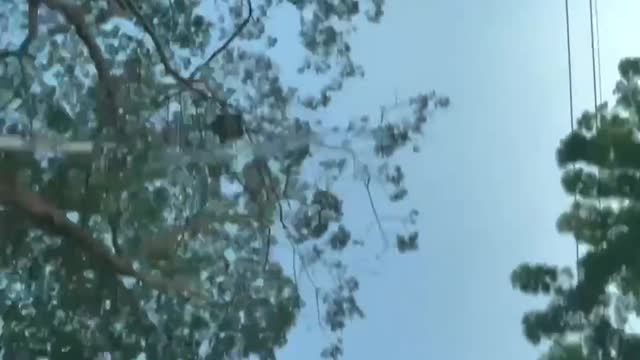 Scenes of nature