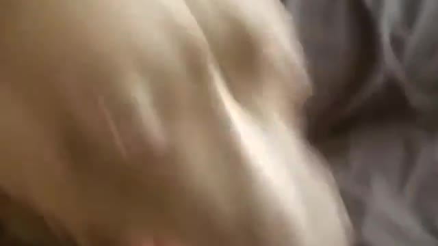 PequeƱo demonioš