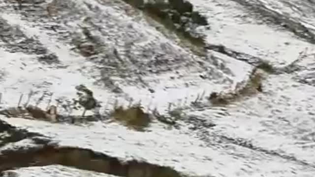 Video: Fuerte granizada se registró este jueves en Santander 2