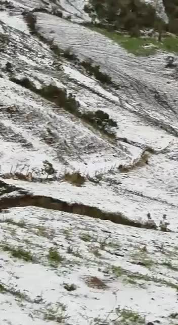 Video: Fuerte granizada se registró este jueves en Santander 2