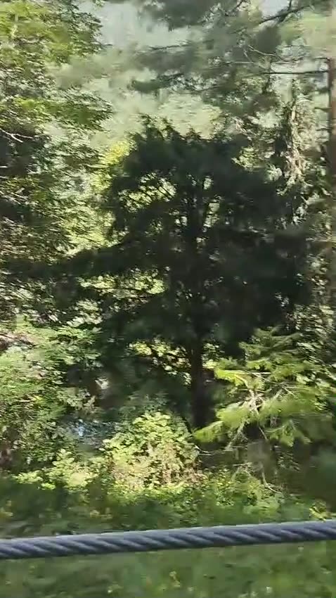 Pakistan Tour 2024-P-9