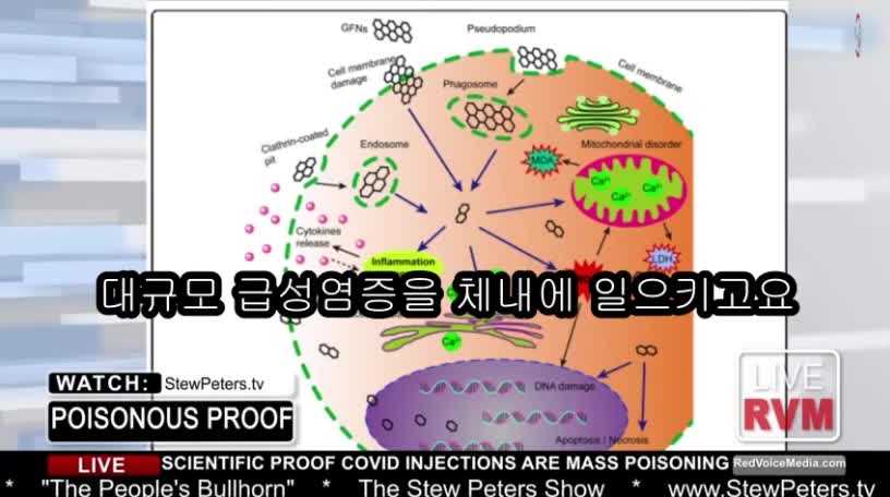 ● 20210912_[펌] [dufamsk] [STEW PETERS SHOW] 스튜피터_닥터 제인 루비(DR JANE RUBY)_대체 뭐가 들어있는 거지