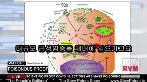 ● 20210912_[펌] [dufamsk] [STEW PETERS SHOW] 스튜피터_닥터 제인 루비(DR JANE RUBY)_대체 뭐가 들어있는 거지