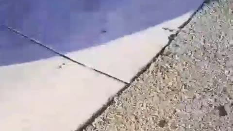 Guy on top of shopping cart getting pushed and falls down