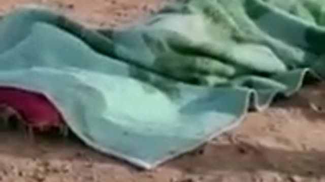 Fanny video by dounkey jokes video