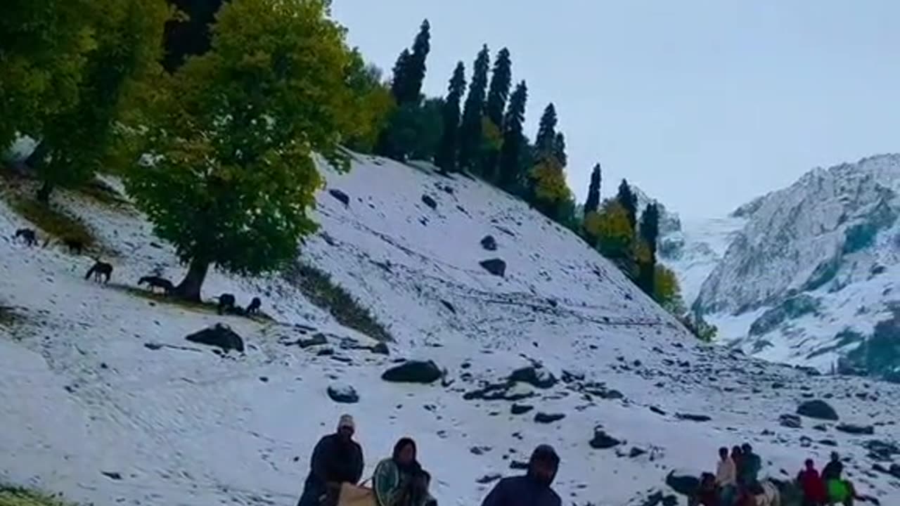 Pakistan so nice