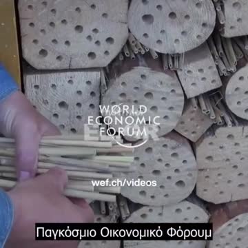 ΞΕΝΟΔΟΧΕΙΑ ΜΕΛΙΣΣΩΝ ΣΤΗΝ ΟΛΛΑΝΔΙΑ