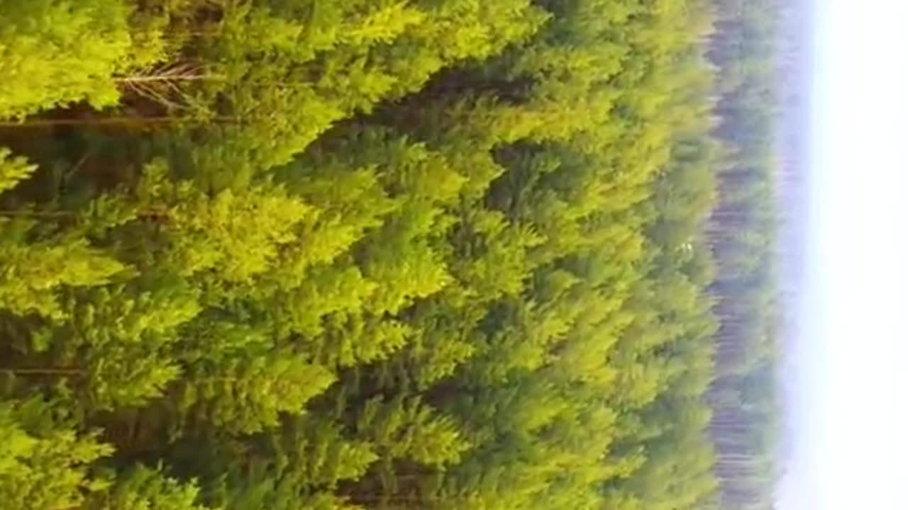 Beauty of Russia 🇷🇺. Which country will be the next