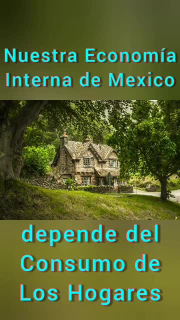 Desarrollo del Mercado Interno