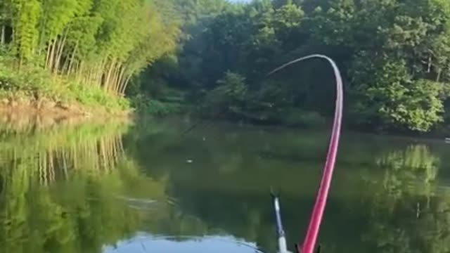 BIRD Fishing Lure Catches BIG FISH CRAZY!