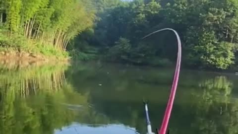 BIRD Fishing Lure Catches BIG FISH CRAZY!