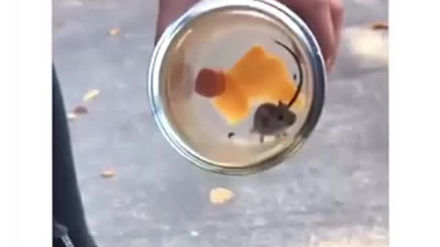 My day be like after she showed something