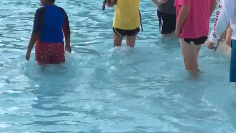 Brown dog scared of water climb on slide and slips