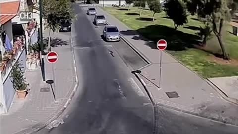 Such Terror Very War: Hamas rocket hits tree, cat runs off no problem.