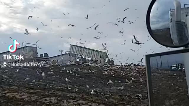 Tipper trailer off loading