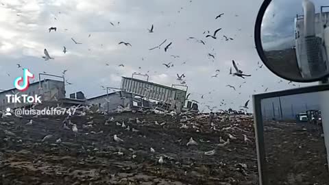 Tipper trailer off loading