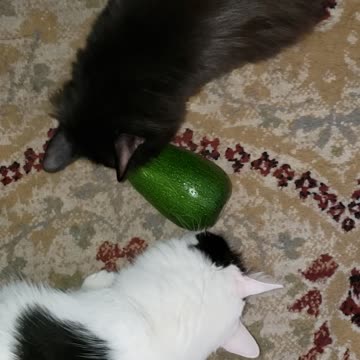 Quality control part two