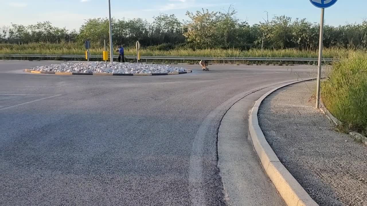 Skateboarding Dog Takes Tight Turn || ViralHog