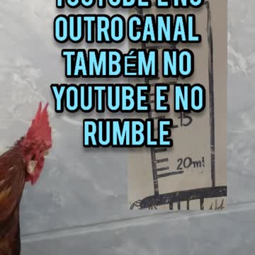 ROSTER RAMBO RUMBLE ROCKY BALBOA